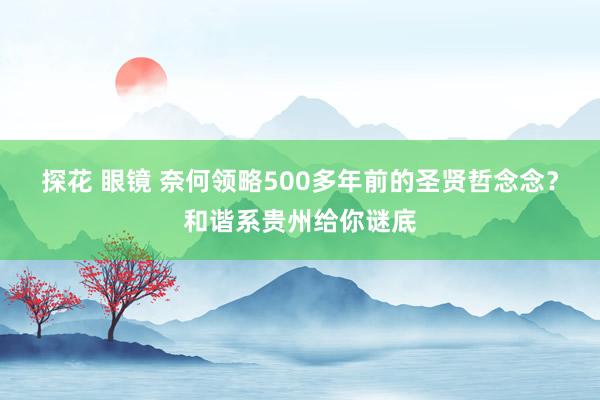探花 眼镜 奈何领略500多年前的圣贤哲念念？和谐系贵州给你谜底