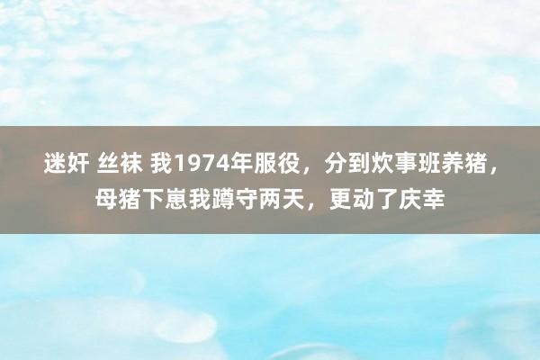 迷奸 丝袜 我1974年服役，分到炊事班养猪，母猪下崽我蹲守两天，更动了庆幸