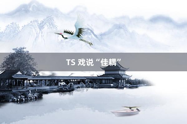 TS 戏说“佳耦”
