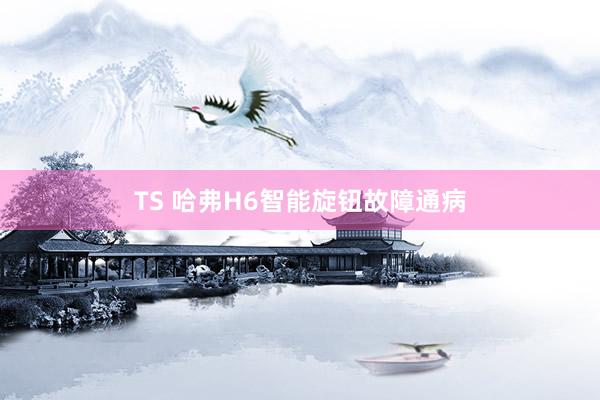TS 哈弗H6智能旋钮故障通病