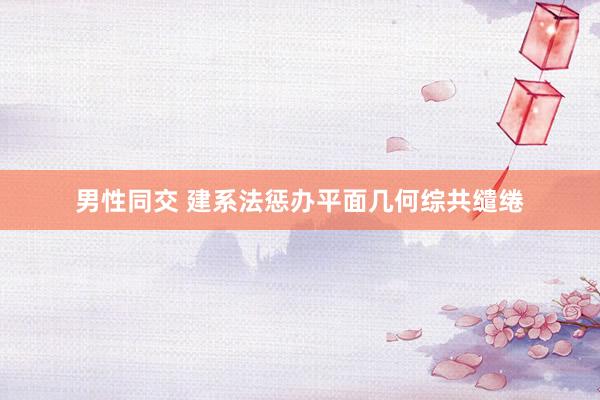 男性同交 建系法惩办平面几何综共缱绻