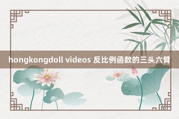 hongkongdoll videos 反比例函数的三头六臂