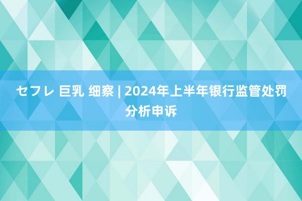セフレ 巨乳 细察 | 2024年上半年银行监管处罚分析申诉