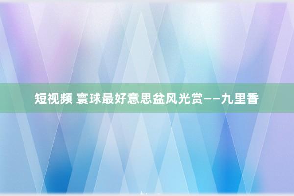 短视频 寰球最好意思盆风光赏——九里香