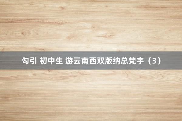 勾引 初中生 游云南西双版纳总梵宇（3）