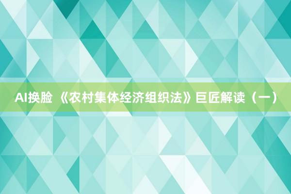 AI换脸 《农村集体经济组织法》巨匠解读(一)