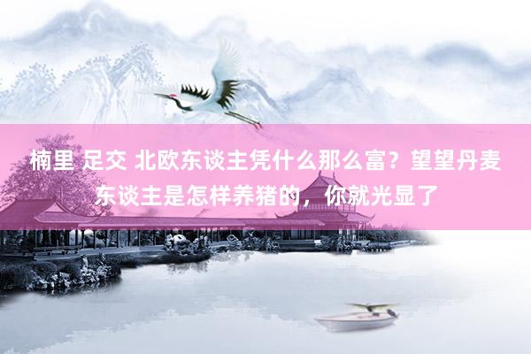 楠里 足交 北欧东谈主凭什么那么富？望望丹麦东谈主是怎样养猪的，你就光显了